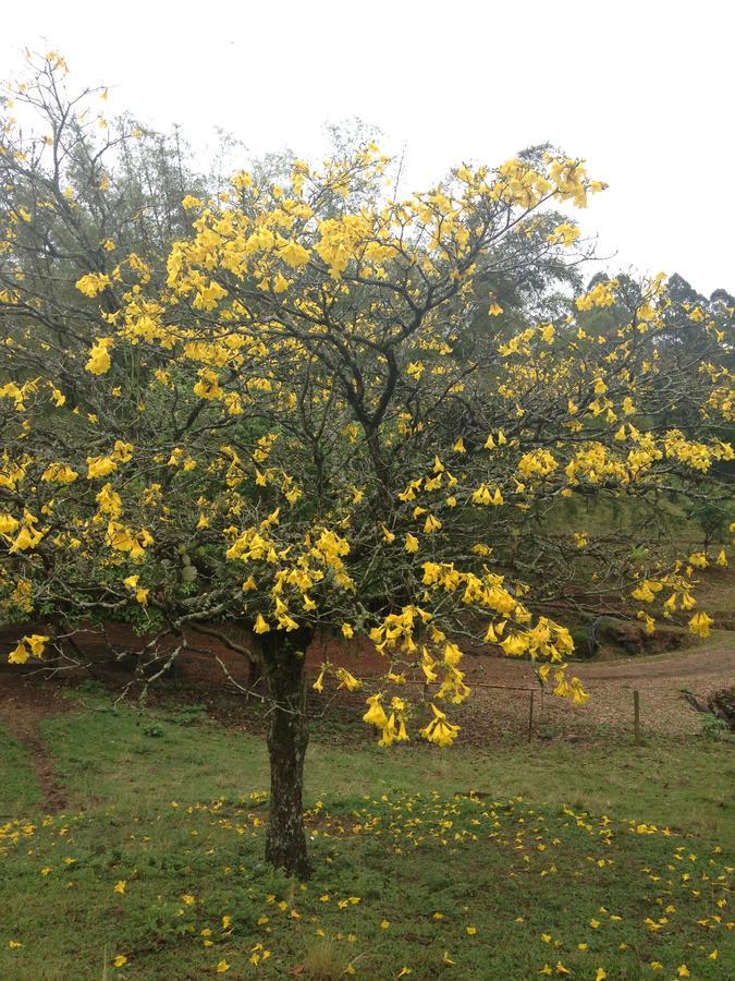 Casa De Campo,Sitio,Vale Europeu-Sc Rio dos Cedros Zewnętrze zdjęcie